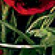Предпросмотр схемы вышивки «Мак» (№259502)