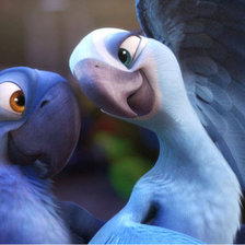 Серия МУЛЬТИКИ. Рио влюбленные