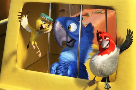 Серия МУЛЬТИКИ. Рио знакомство - птица, детям, рио, мультик - оригинал