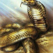 Схема вышивки «кобра»