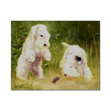 Схема вышивки «Сюрприз»