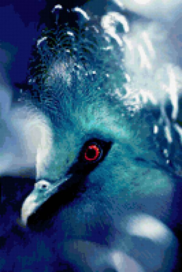 Венценосный голубь - голубь, птица - предпросмотр