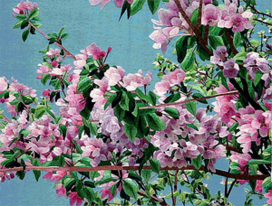 Китайская вышивка Ветка яблони - восток, китай, цветы - предпросмотр