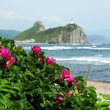 Схема вышивки «шип»