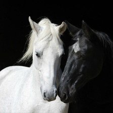 Схема вышивки «НЕжность»