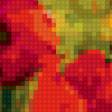 Предпросмотр схемы вышивки «маки» (№260090)