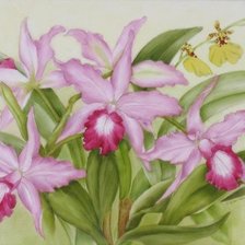 Схема вышивки «ОРХИДЕЯ»