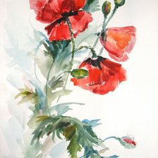 Схема вышивки «маки»