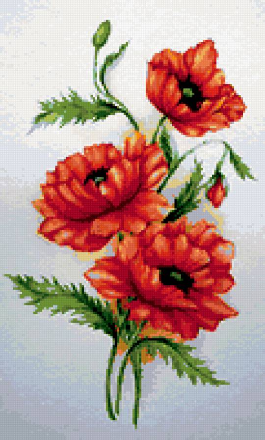 маки - букетик - предпросмотр