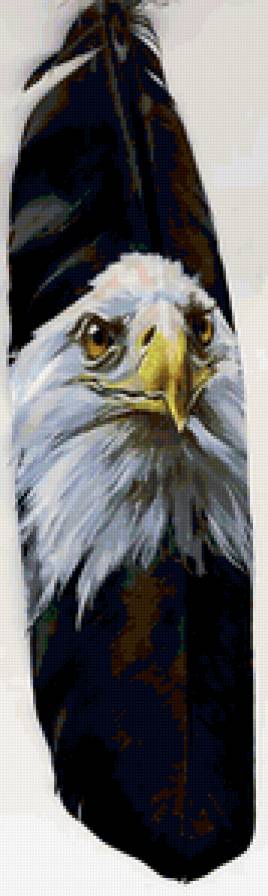 ОРЕЛ - рисунок на собственное перо, птица - предпросмотр