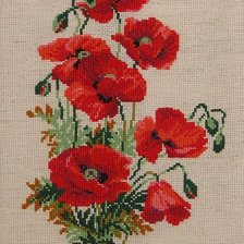 Схема вышивки «маки»