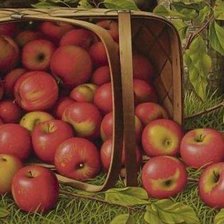 Схема вышивки «№260171»