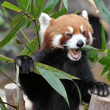 Схема вышивки «ам»