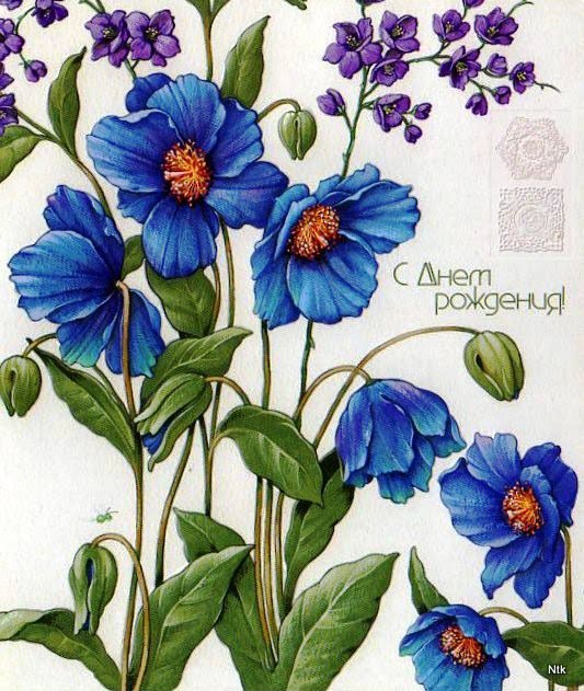 СИНИЕ ЛЮТИКИ - цветы, букет, лютики, маргаритки - оригинал