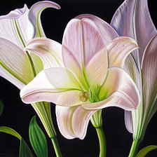 Схема вышивки «ЛИЛИИ»