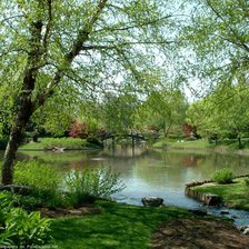 Схема вышивки «природа»