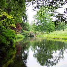 Схема вышивки «природа»