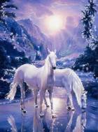 Схема вышивки «белые красавцы»