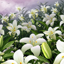 Схема вышивки «Лилейное поле»