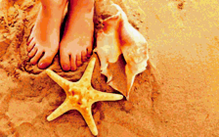 на море - ракушки, море, песок - предпросмотр