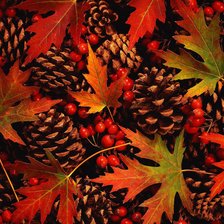 Схема вышивки «Осень»