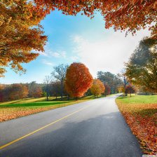 Схема вышивки «Осень»