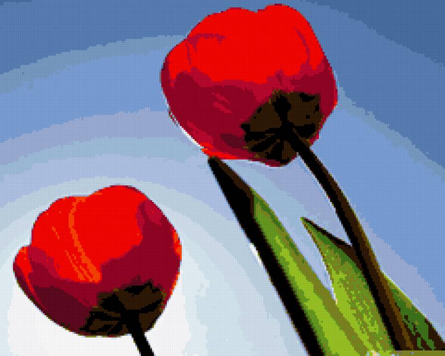 Тюльпаны - цветы, тюльпаны, настроение - предпросмотр