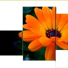 Схема вышивки «№260959»