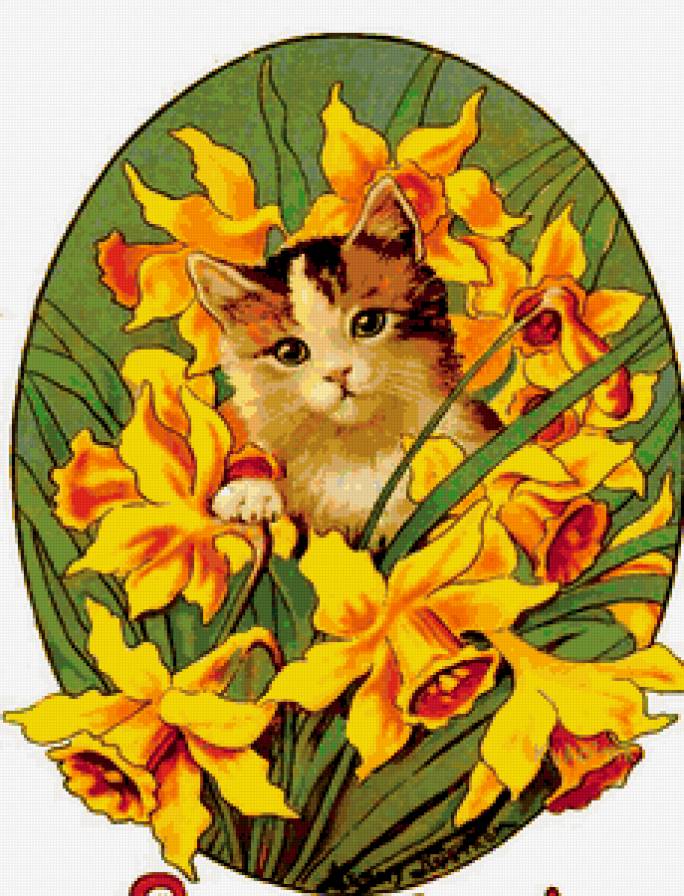 МИЛАШКА РЫЖИК - букет, нарцыс, цветы, кошка, композиция, весенние цветы - предпросмотр