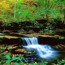 Схема вышивки «№261103»