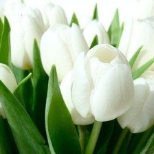 Схема вышивки «са»