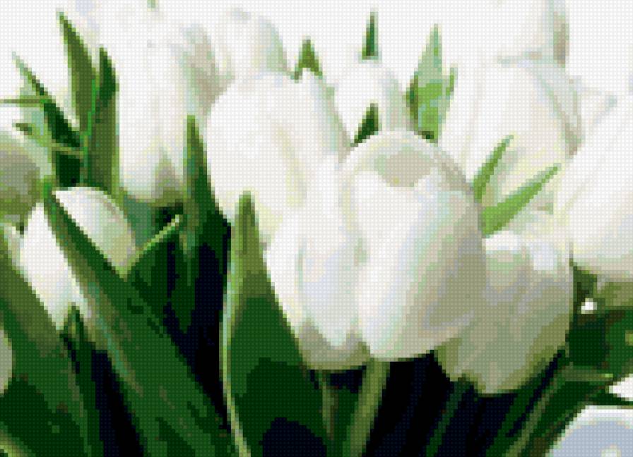 оооооо - предпросмотр