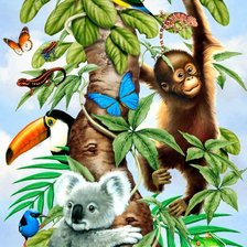 Схема вышивки «экзотика»