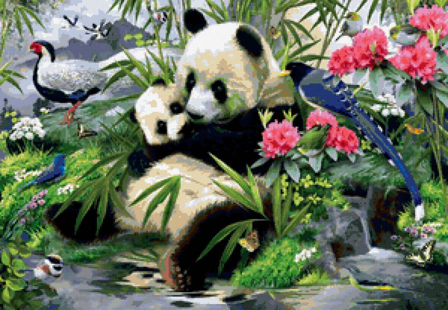 панда - мишки, природа, животные, мишка, экзотика - предпросмотр