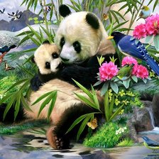 Схема вышивки «панда»