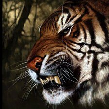 Схема вышивки «Тигр»