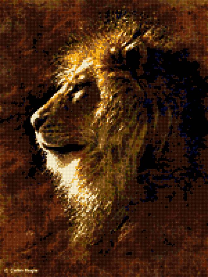 лев - животные, лев, дикие кошки - предпросмотр