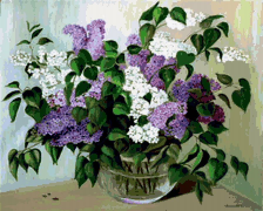 Букет сирени - цветы - предпросмотр