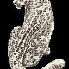 Схема вышивки «№261803»