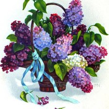 Схема вышивки «Сирень»