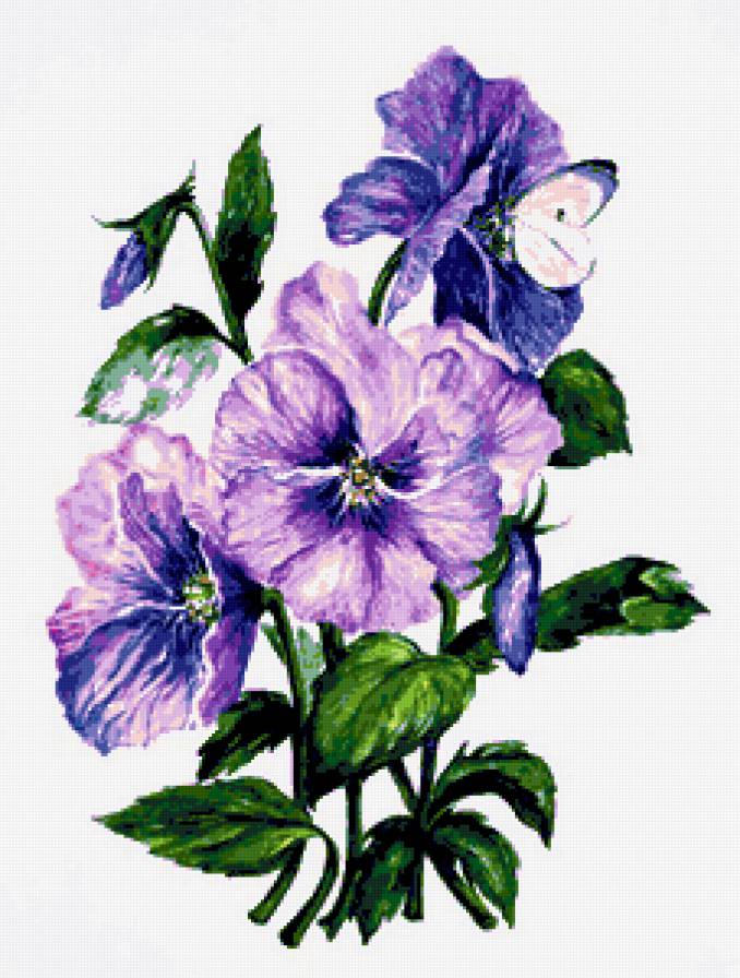 Анютки и бабочка - панно, анютины глазки, фиалки, виола, анютки, бабочка, цветы - предпросмотр