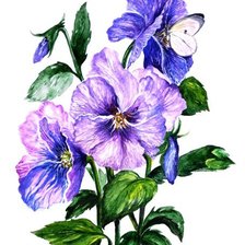 Схема вышивки «Анютки и бабочка»