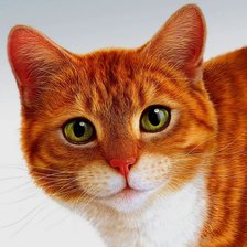 Схема вышивки «Кошачий Взгляд»