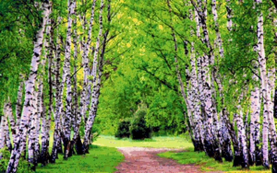 Весна в берёзах - весна, березы, дорога, пейзаж, листья - предпросмотр