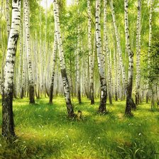 Схема вышивки «Берёзовая роща»