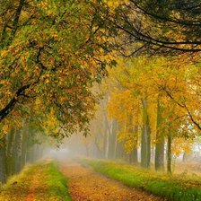 Схема вышивки «И настала осень»