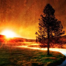 Схема вышивки «Красота природы»