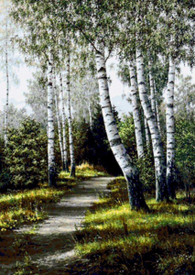 Берёзовая Роща - пейзаж, дорога, кусты, листья, трава, березы, деревя - предпросмотр