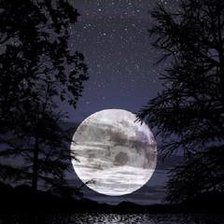 Схема вышивки «Лунная ночь»