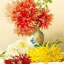 Схема вышивки «натюрморт»